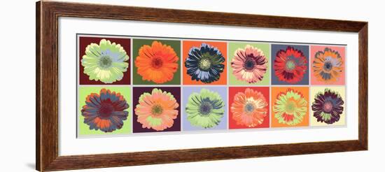 Gerbera Spectrum-null-Framed Art Print