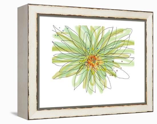 Gerbera-Jan Weiss-Framed Stretched Canvas