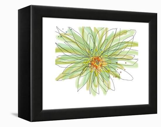 Gerbera-Jan Weiss-Framed Stretched Canvas