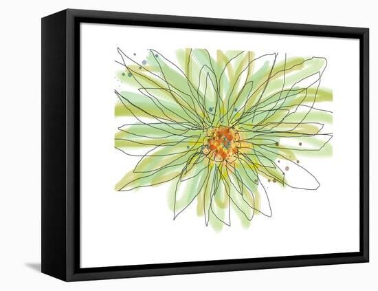 Gerbera-Jan Weiss-Framed Stretched Canvas