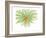 Gerbera-Jan Weiss-Framed Premium Giclee Print