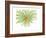 Gerbera-Jan Weiss-Framed Premium Giclee Print