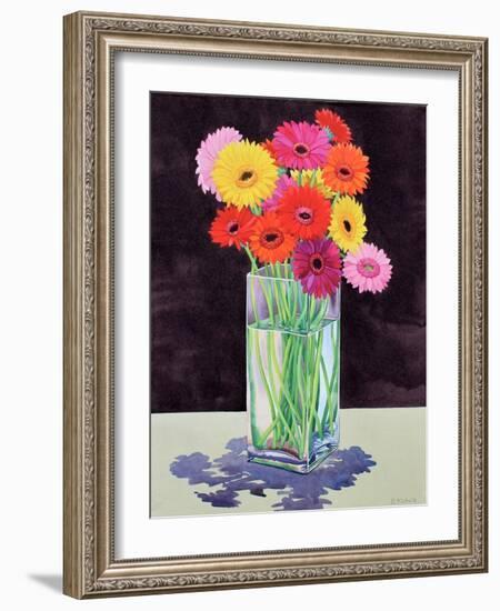 Gerberas-Christopher Ryland-Framed Giclee Print