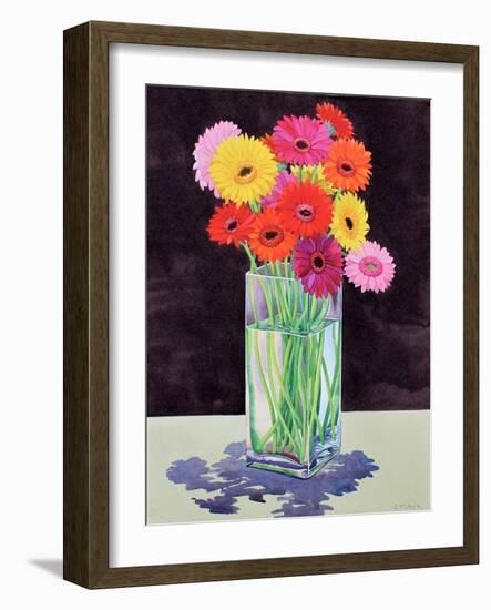 Gerberas-Christopher Ryland-Framed Giclee Print