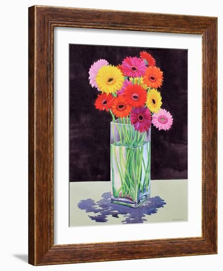 Gerberas-Christopher Ryland-Framed Giclee Print