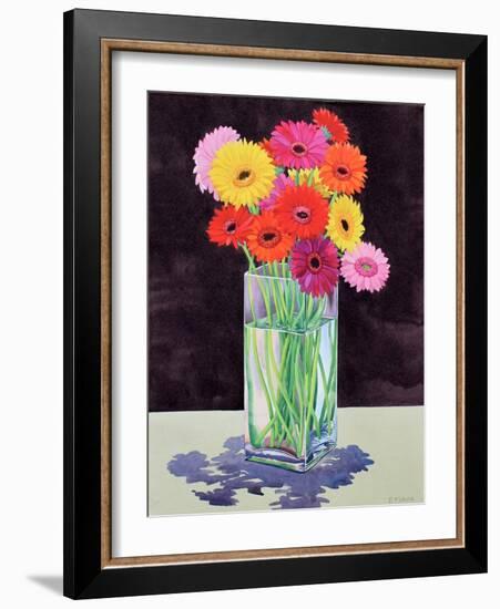 Gerberas-Christopher Ryland-Framed Giclee Print