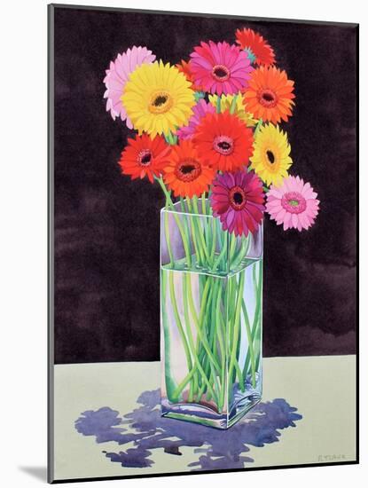 Gerberas-Christopher Ryland-Mounted Giclee Print