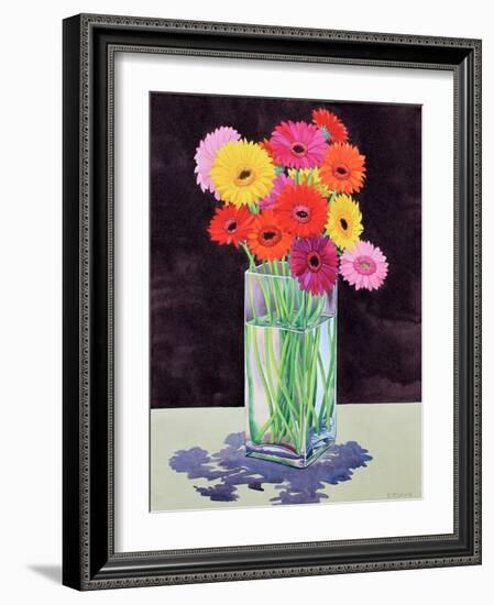 Gerberas-Christopher Ryland-Framed Giclee Print