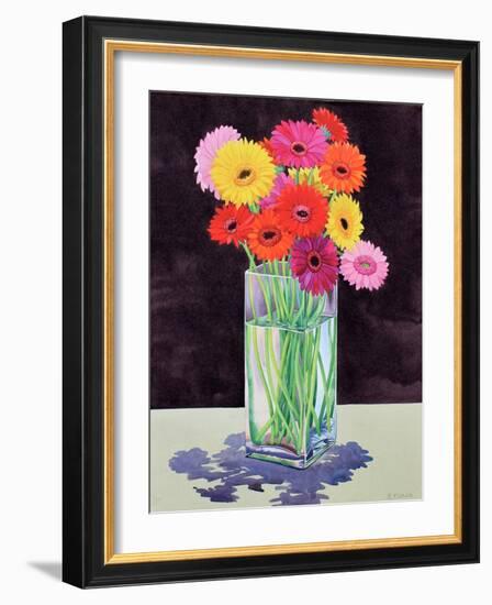 Gerberas-Christopher Ryland-Framed Giclee Print