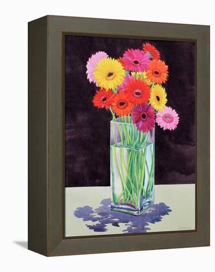 Gerberas-Christopher Ryland-Framed Premier Image Canvas