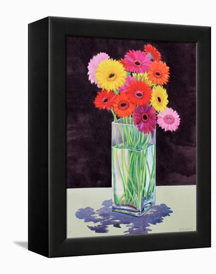 Gerberas-Christopher Ryland-Framed Premier Image Canvas