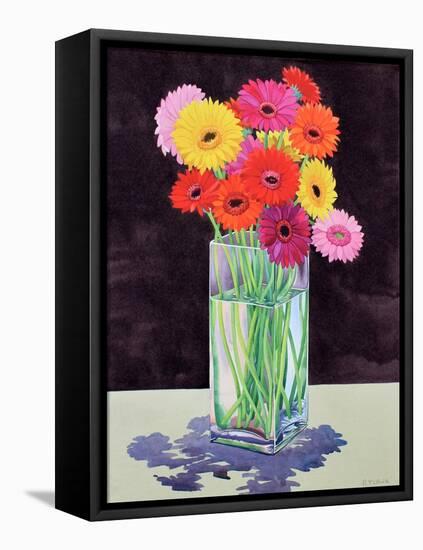 Gerberas-Christopher Ryland-Framed Premier Image Canvas