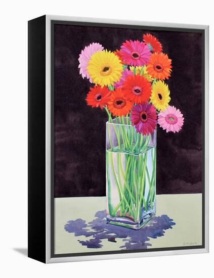 Gerberas-Christopher Ryland-Framed Premier Image Canvas