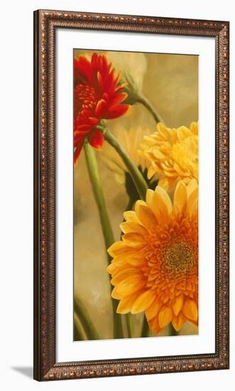 Gerbere nel sole I-Serena Biffi-Framed Art Print