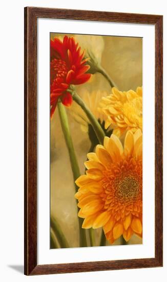 Gerbere nel sole I-Serena Biffi-Framed Art Print