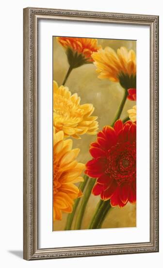 Gerbere nel sole II-Serena Biffi-Framed Art Print