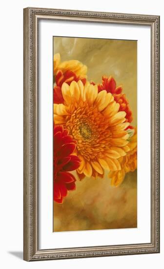 Gerbere nel sole III-Serena Biffi-Framed Art Print