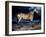 Gericault: Horse-Théodore Géricault-Framed Giclee Print