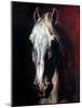 Gericault: White Horse-Théodore Géricault-Mounted Giclee Print