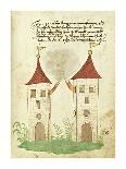 Civic festival of the Nuremberg Schembartlauf - Castle-German 16th Century-Art Print