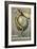 German Ban Atomic Weapons Poster, Snake and Globe-null-Framed Giclee Print