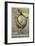 German Ban Atomic Weapons Poster, Snake and Globe-null-Framed Giclee Print