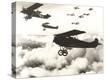 Stretched Canvas Print