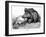 German Boar Held at Verdun - Cartoon-L. Raven Hill-Framed Art Print