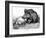 German Boar Held at Verdun - Cartoon-L. Raven Hill-Framed Art Print