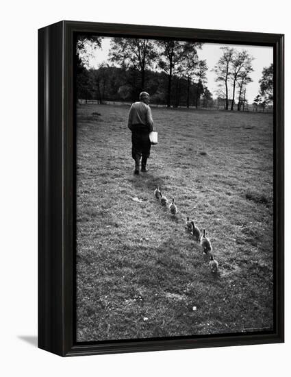 German Ethologist Dr. Konrad Z. Lorenz Studying Habits of Ducks and Geese at Woodland Institute-Thomas D^ Mcavoy-Framed Premier Image Canvas