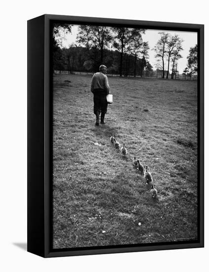 German Ethologist Dr. Konrad Z. Lorenz Studying Habits of Ducks and Geese at Woodland Institute-Thomas D^ Mcavoy-Framed Premier Image Canvas