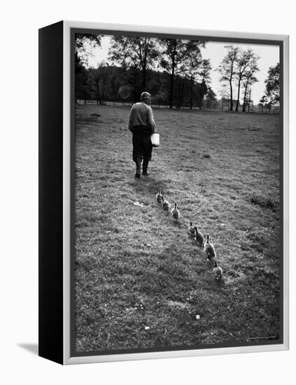 German Ethologist Dr. Konrad Z. Lorenz Studying Habits of Ducks and Geese at Woodland Institute-Thomas D^ Mcavoy-Framed Premier Image Canvas