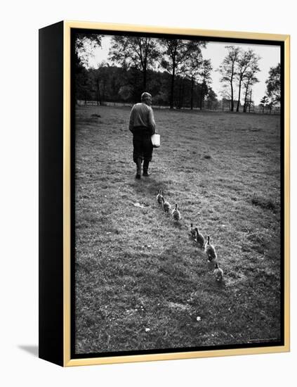 German Ethologist Dr. Konrad Z. Lorenz Studying Habits of Ducks and Geese at Woodland Institute-Thomas D^ Mcavoy-Framed Premier Image Canvas