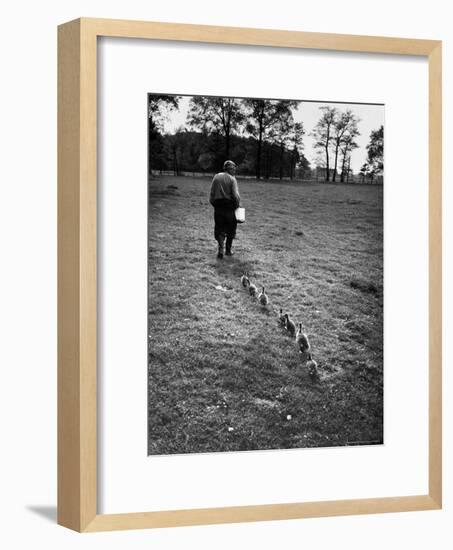 German Ethologist Dr. Konrad Z. Lorenz Studying Habits of Ducks and Geese at Woodland Institute-Thomas D^ Mcavoy-Framed Premium Photographic Print