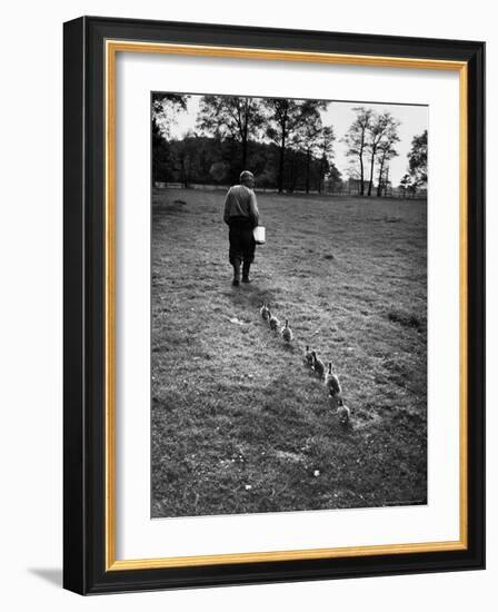 German Ethologist Dr. Konrad Z. Lorenz Studying Habits of Ducks and Geese at Woodland Institute-Thomas D^ Mcavoy-Framed Premium Photographic Print