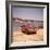 German Made Amphicar, a Car That Drives on Water-Joe Scherschel-Framed Photographic Print