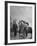 German Prisoner of War Working as Farm Hand for French Farmer-null-Framed Photographic Print