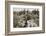 German prisoners brought in from Contalmaison, Somme campaign, France, World War I, 1916-Unknown-Framed Photographic Print
