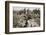 German prisoners brought in from Contalmaison, Somme campaign, France, World War I, 1916-Unknown-Framed Photographic Print