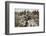 German prisoners brought in from Contalmaison, Somme campaign, France, World War I, 1916-Unknown-Framed Photographic Print