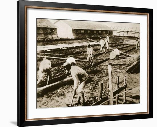 German Prisoners Build Barracks for the Americans-null-Framed Photographic Print