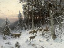 A Winter Evening in the Black Forest, C.1880-German School-Giclee Print