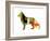 German Shepard 2-NaxArt-Framed Art Print