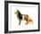 German Shepard 2-NaxArt-Framed Art Print