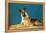 German Shepard, Retro-null-Framed Stretched Canvas