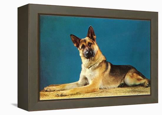 German Shepard, Retro-null-Framed Stretched Canvas