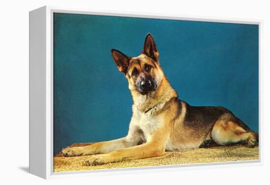 German Shepard, Retro-null-Framed Stretched Canvas