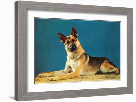 German Shepard, Retro-null-Framed Art Print