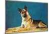 German Shepard, Retro-null-Mounted Art Print