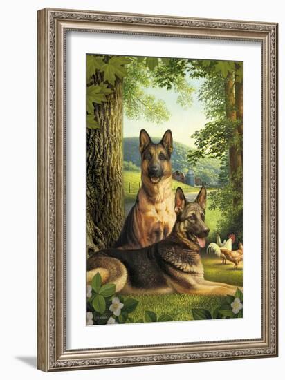 German Shepards/Chicken-Dan Craig-Framed Giclee Print